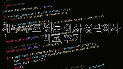 제주 우도 원룸 이사, 용달이사 비교 후기