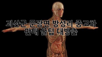 괴산군 문광면 방성리 중고차 판매 꿀팁 대방출! 🚗💨